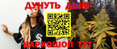 МДПВ Гагарин