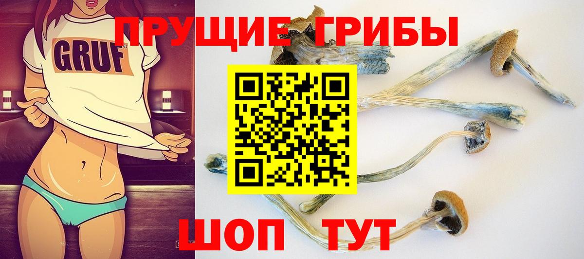 Бошки Шишки  Гашиш  Ржев  Cocaine  МЕФ кристаллы  Вход с VPN 